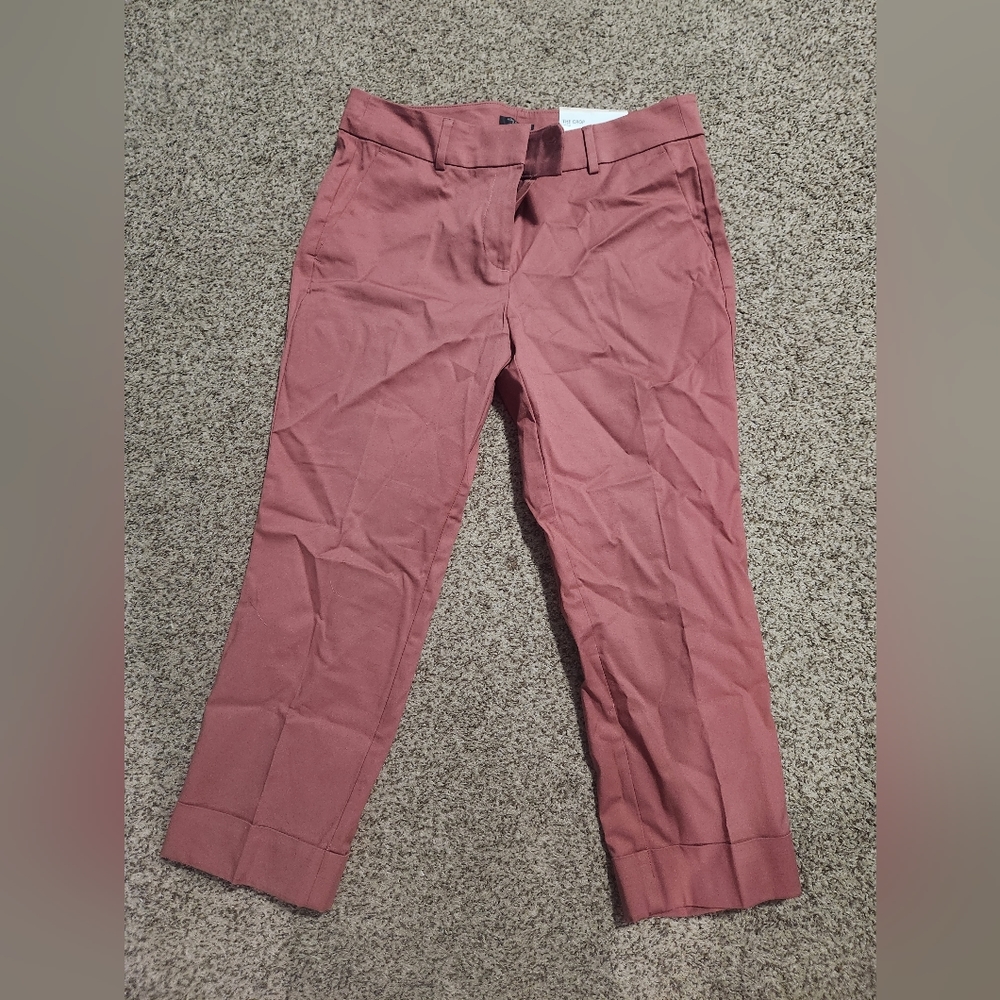 New Ann Taylor dress work pants